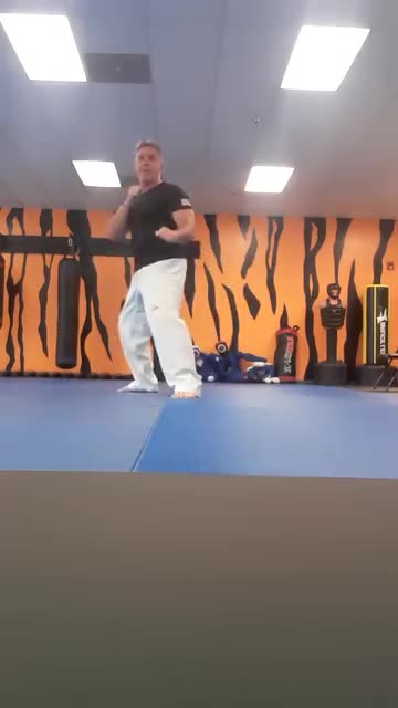 Tong Hap Kwan Hapkido Kicking Techniques