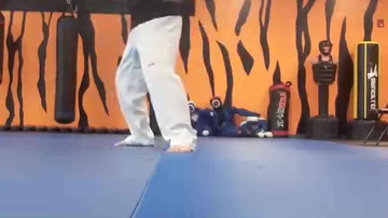 Tong Hap Kwan Hapkido Kicking Techniques