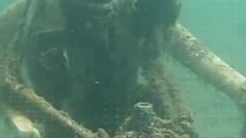 Mysterious Skeletons Found by Deep Sea Divers