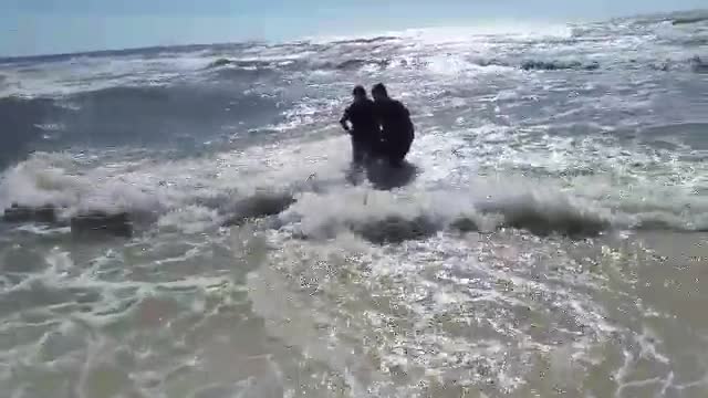 Valientes pescadores rescatan a un tiburón varado