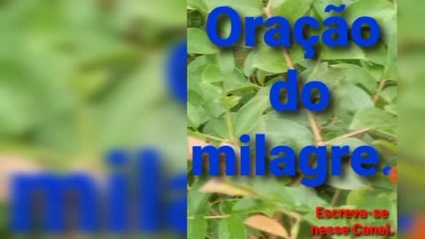 Oração do milagre🙌🏻. Bênçãos de Deus.