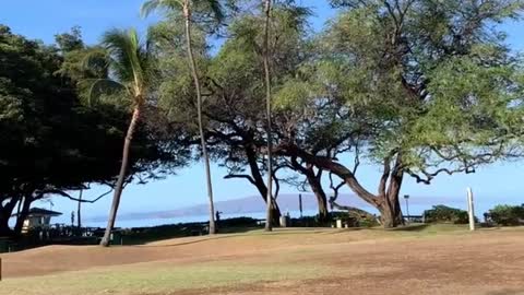 Good morning and Happy Monday from Maui