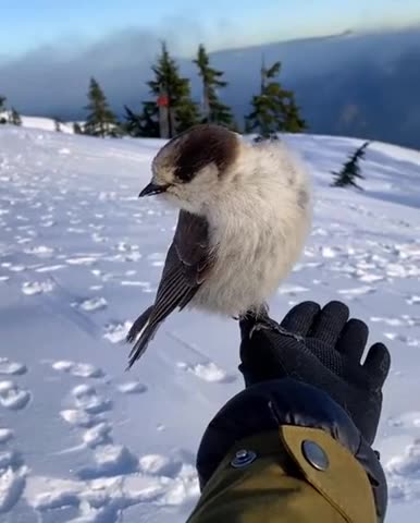 Yup. He deserves it imo. No treat. I poop on you 😂