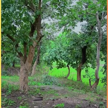 ichcha dhari nagan ki mini and spira too اچچھا دھاری ناگن کی منی اور سپیرا تو