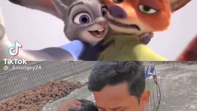 Look at this man and animals
