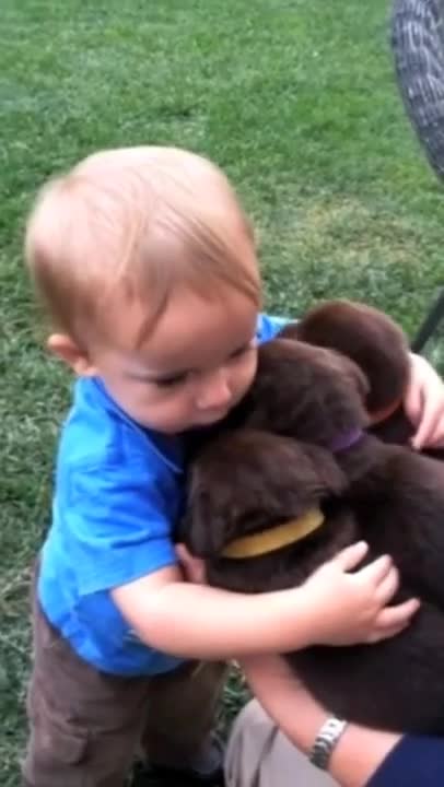 Cute baby hug three cute puppies