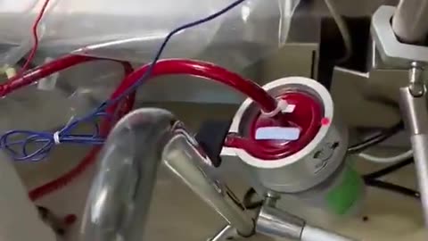 The human heart pumping blood