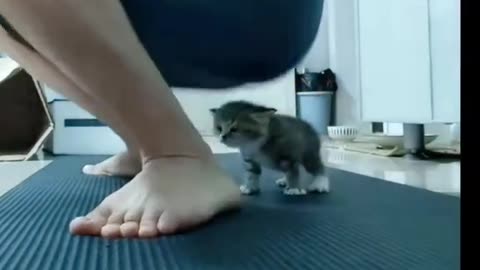Kitty about to knocked out 😭