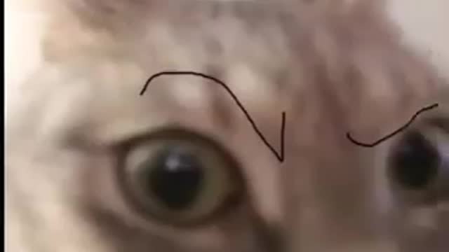🤨