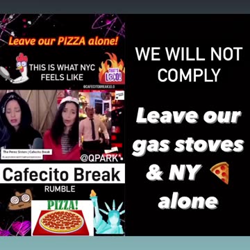 Leave our Gas Stoves and NY Pizza Alone!