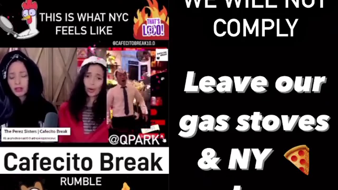 Leave our Gas Stoves and NY Pizza Alone!