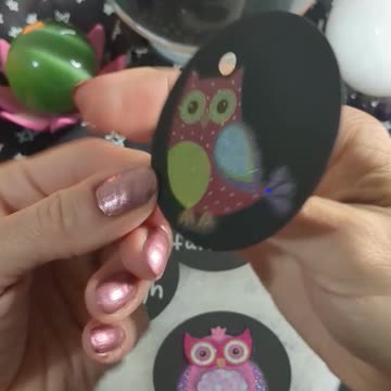 Owl Messenger #shorts