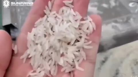 RICE made out of PLASTIC in Factory !!