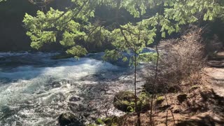 Shoreline Hiking – Metolius River National Recreation Area – Central Oregon