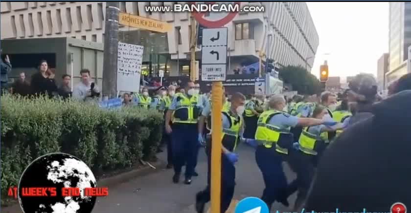 NZ Protestors PUSHED BACK by POLICE