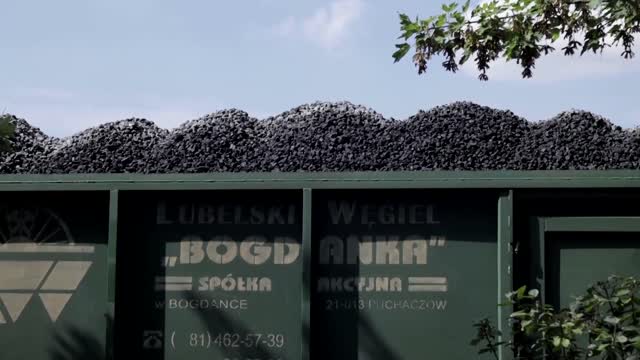Homeowners in Poland queue for days to buy fuel