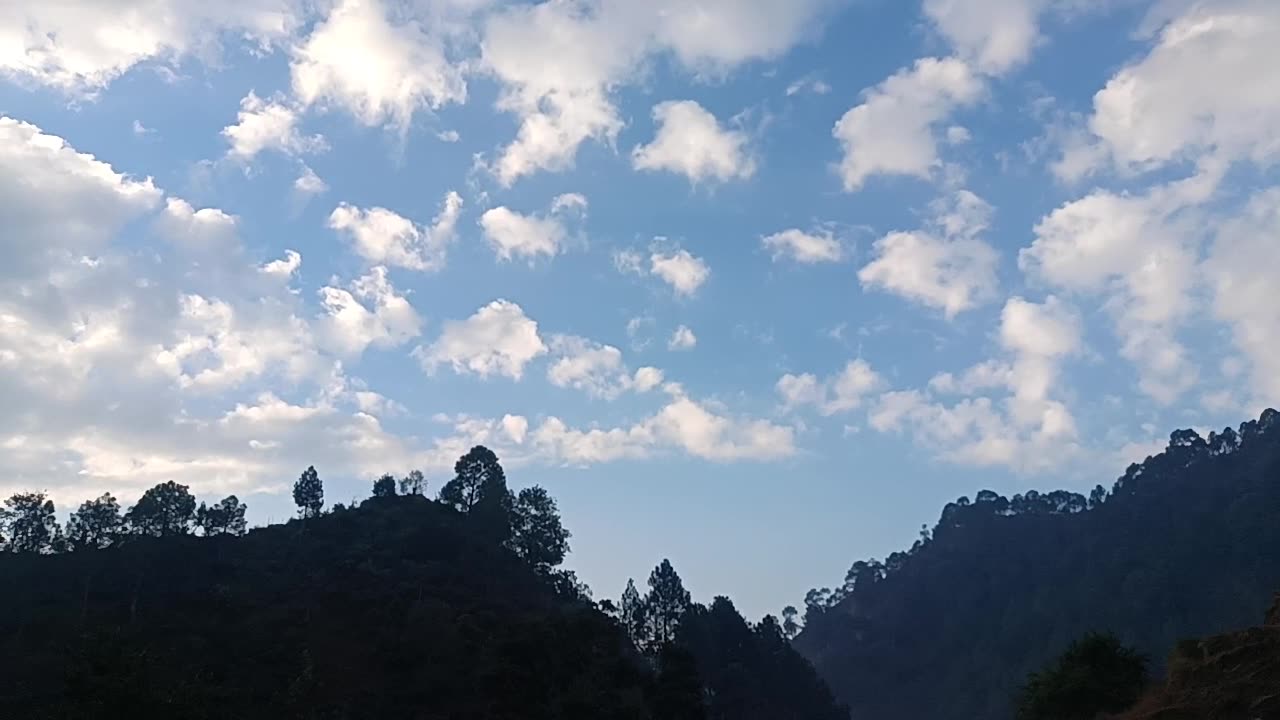 Morning Nature