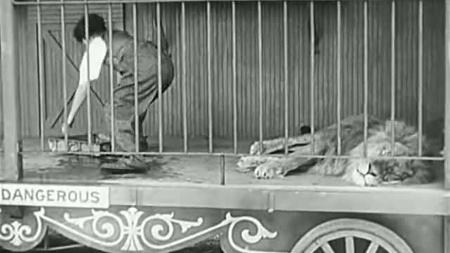 Charlie Chaplin Funny Video