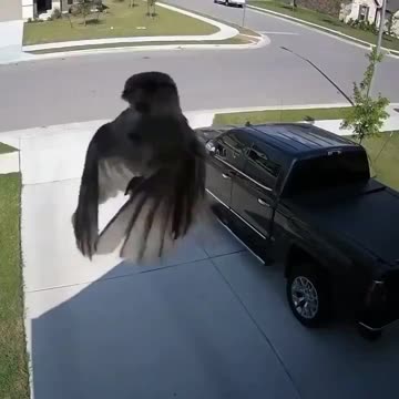 Please explain this!??