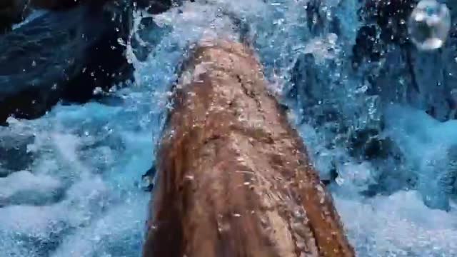 I love the symmetry of the log at the end