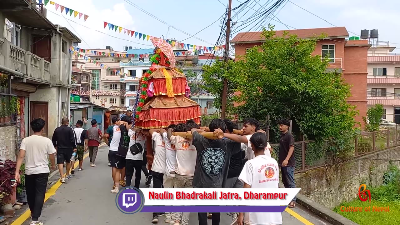 Naulin Bhadrakali Jatra, Dharampur, Budanilkantha, Kathmandu. 2081, Part III