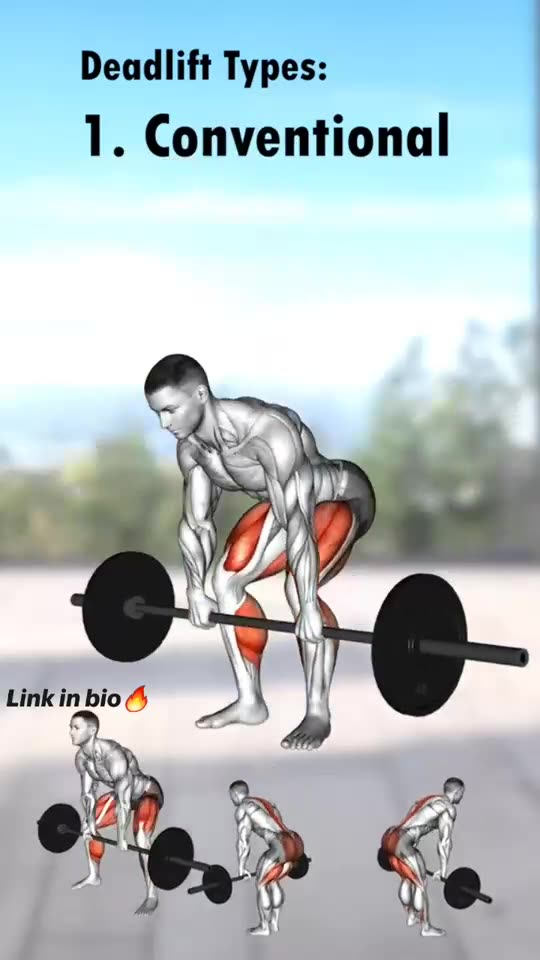 Deadlift Types Workout Exercises