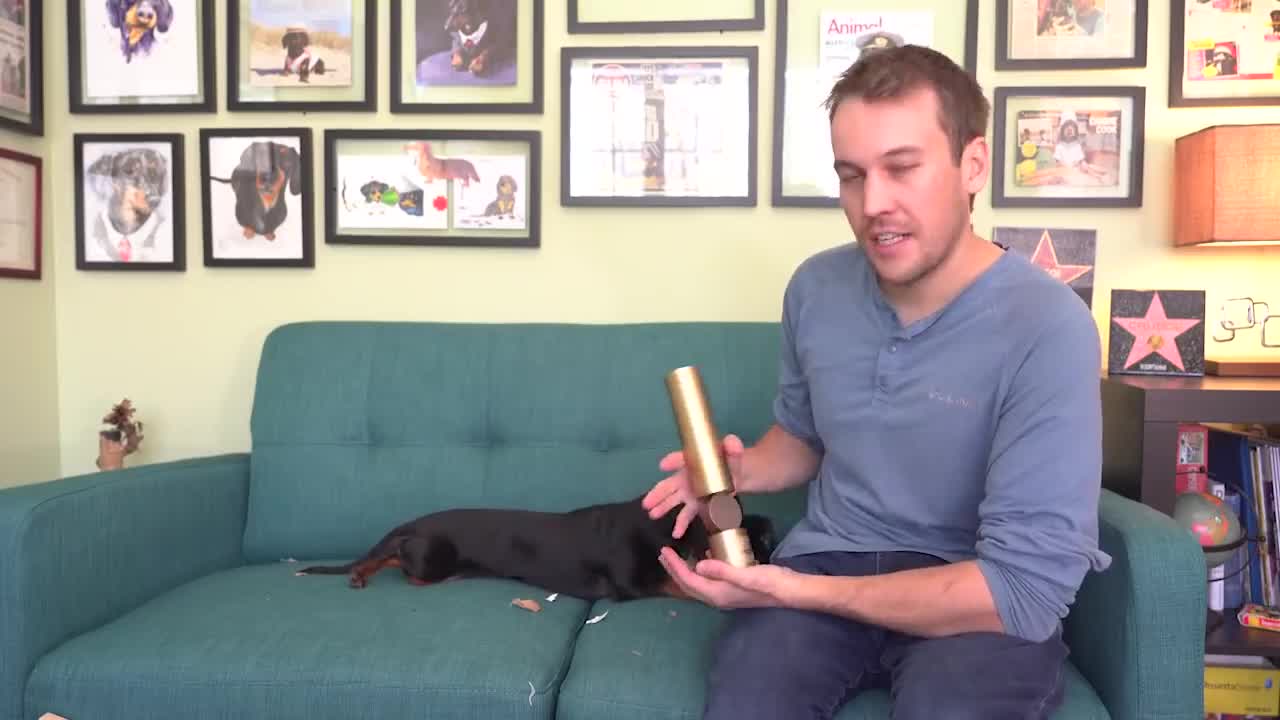 Crusoe Unboxing SPECIAL Delivery!! - Cute Dog Video Unboxing!