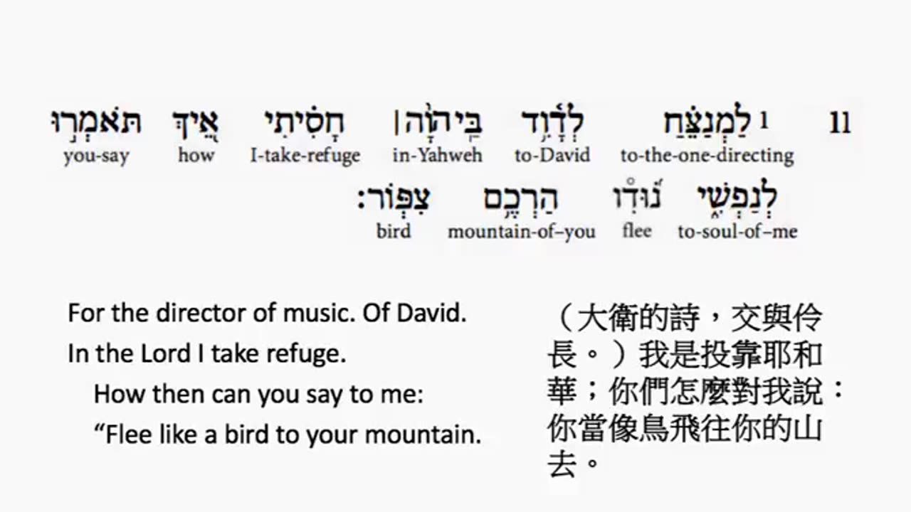 psalm 11 in hebrew _ salmo 11 en hebreo