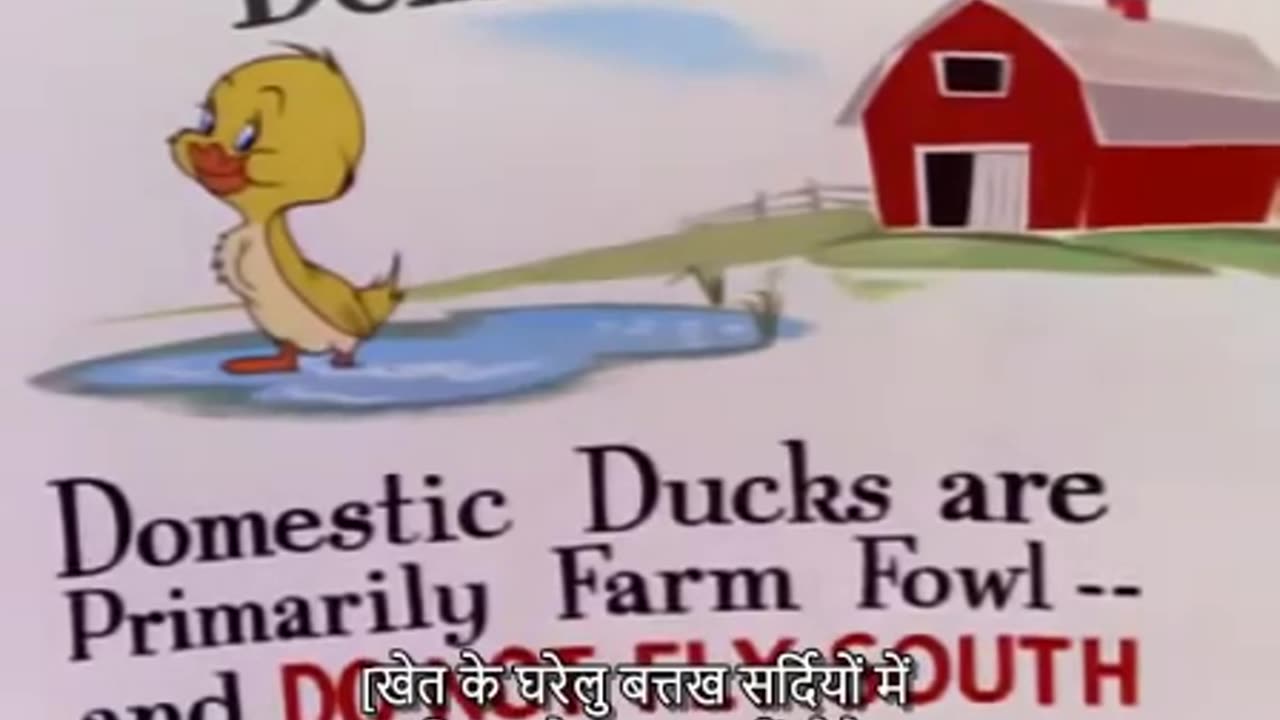 Tom and Jerry - Southbound Duckling