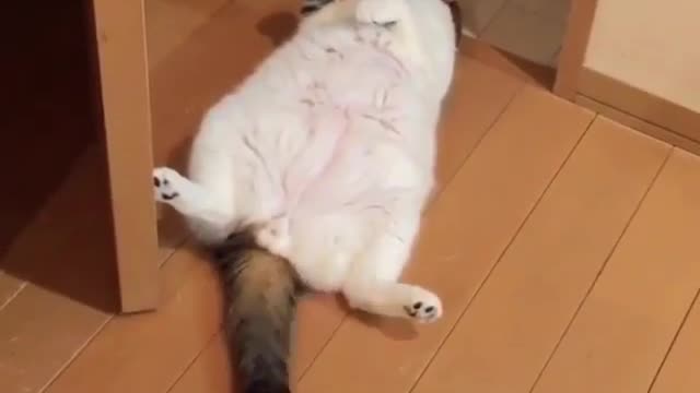 Lay back and play