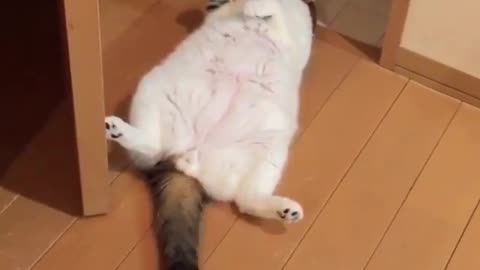 Lay back and play