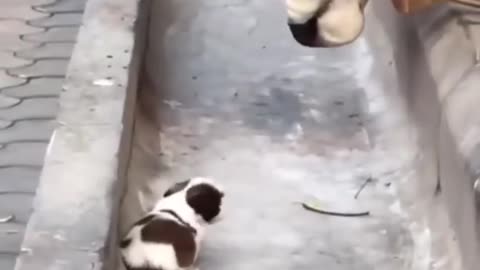 so cute 