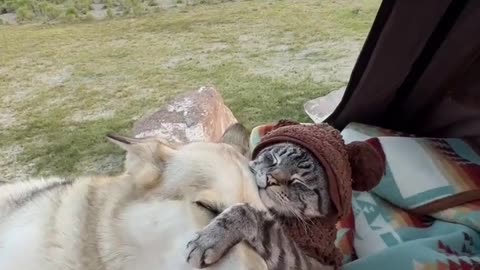 Fluffy Happiness
