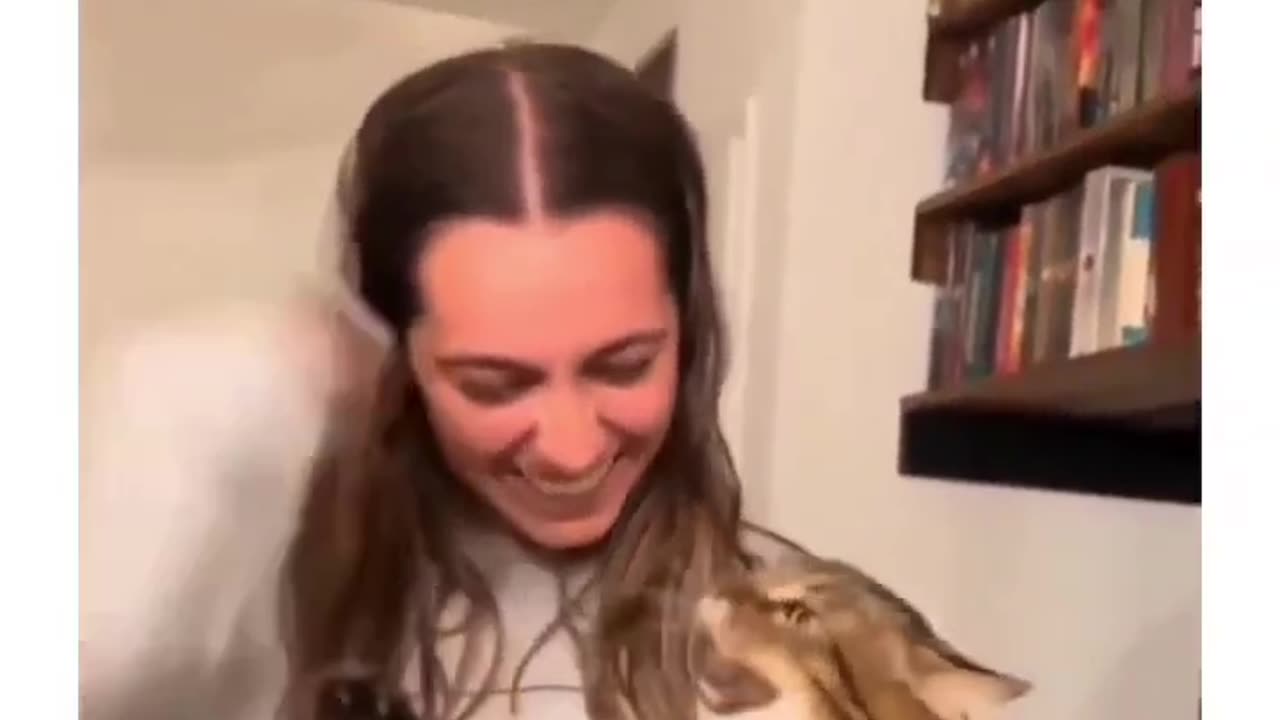 Cat makes crazy sound