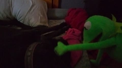Kermit on the Scene - Coopersville, Michigan, May 29th 2022, Memorial Day Wknd