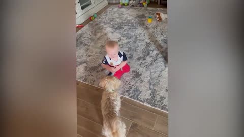 Pet can give us a lot of fun