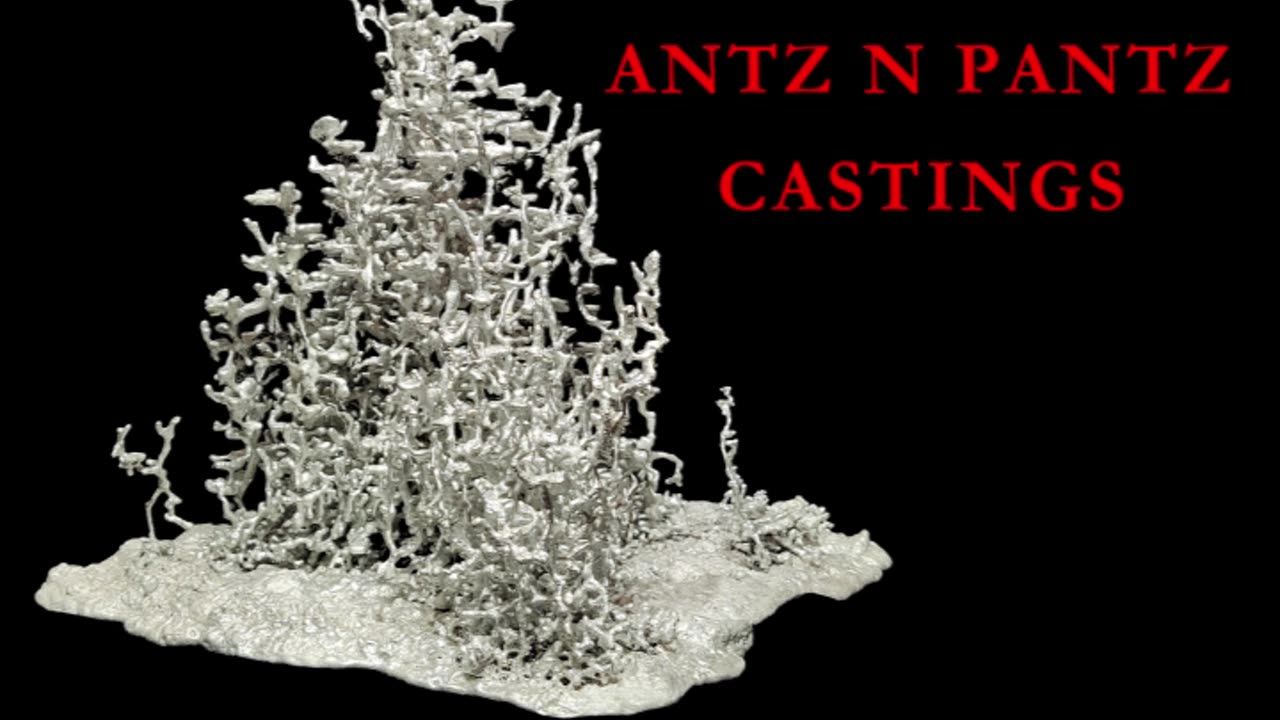 Best Of 2022 // Texas Fire Ant Mound Casting // Aluminum Ant Sculpture