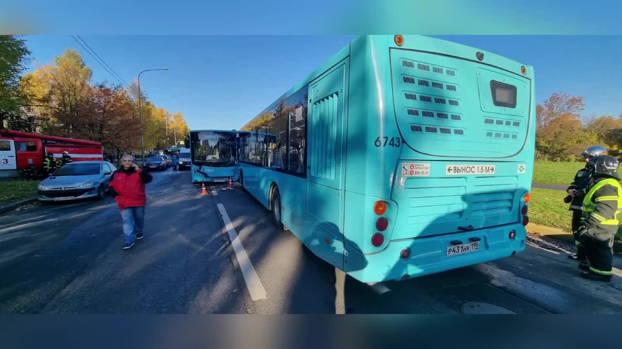 Полиция Санкт-Петербурга проводит проверку по факту ДТП с двумя рейсовыми автобусами