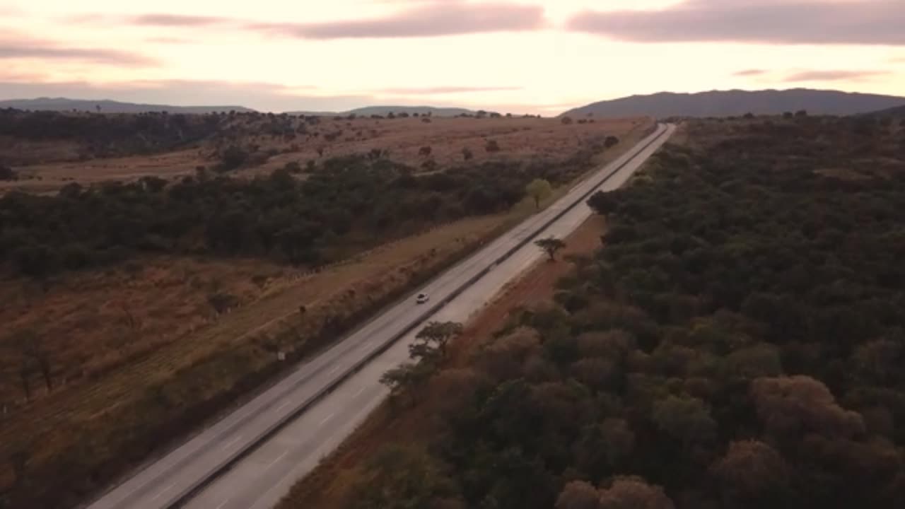 Highway between trees
