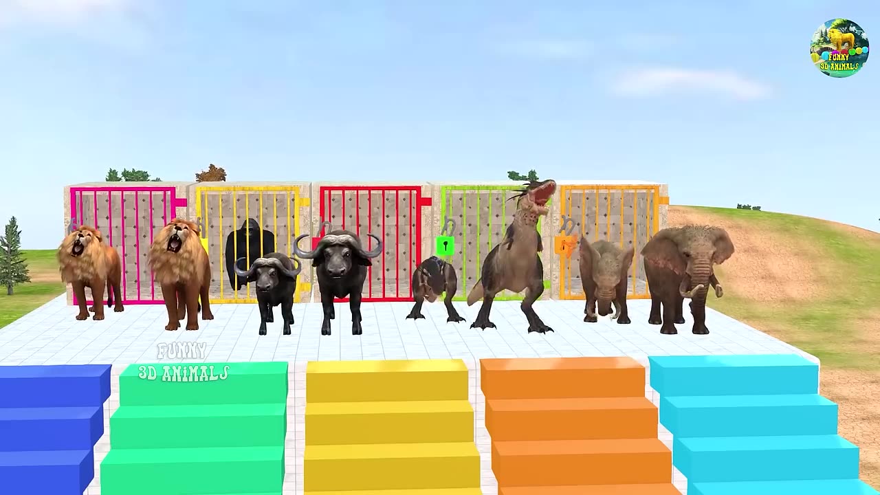 Animals jungle cartoon video