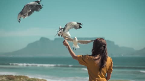 A woman feeding flying seagulls