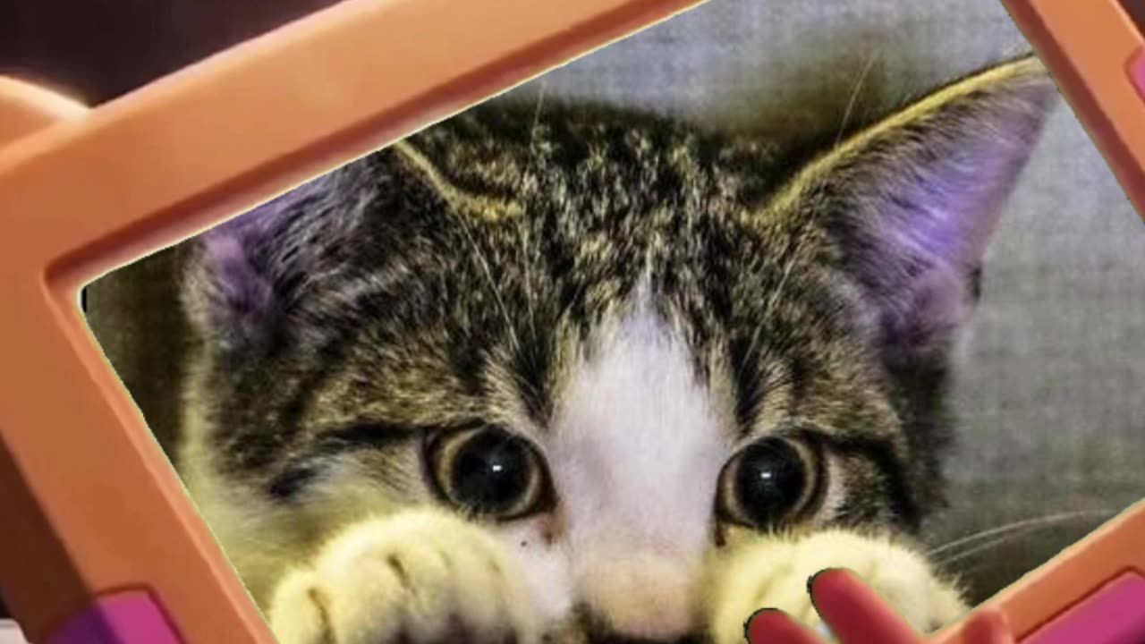 🐈😻 child in train suprised by funny cat 🤣🤩🐈😻 #cat #funny #chill #train