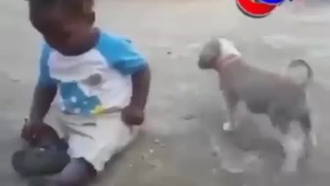 A Boy And His Dog (Very Funny)