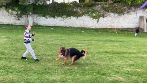 German Shepherd Puppy brings smiles to kids