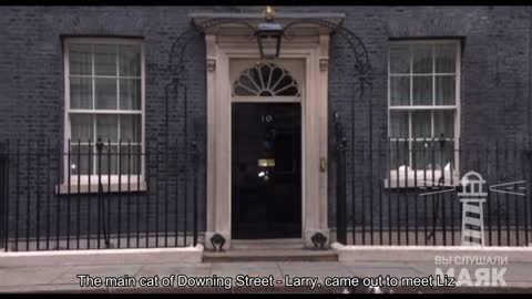 Downing Street's main cat, Larry, came out to meet Liz Truss. Journalists are already gathering ne