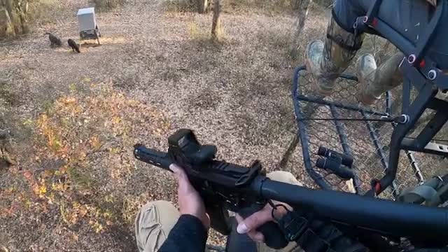 Hunting with a Ar-15