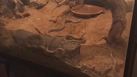 Zoo