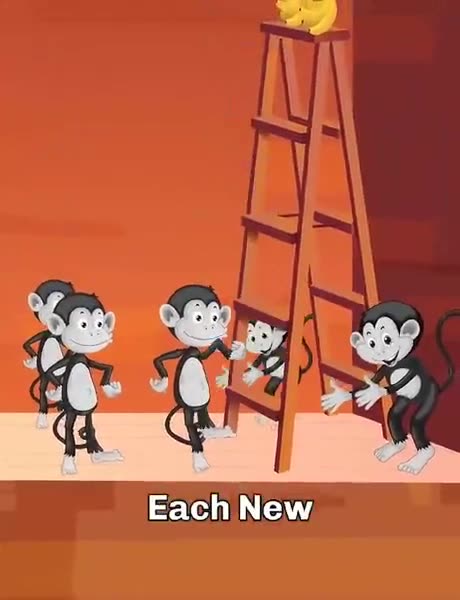 Monkey see, monkey do