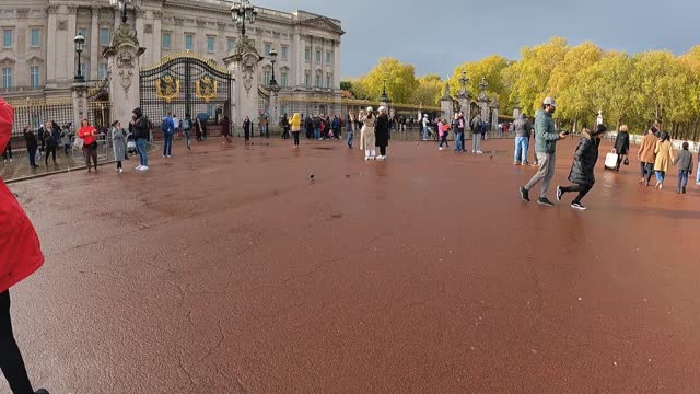 Buckingham palace. London. 8th Nov 2022