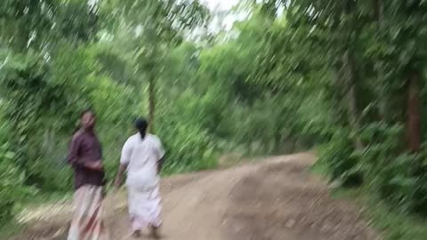 In the mid of jungle.
